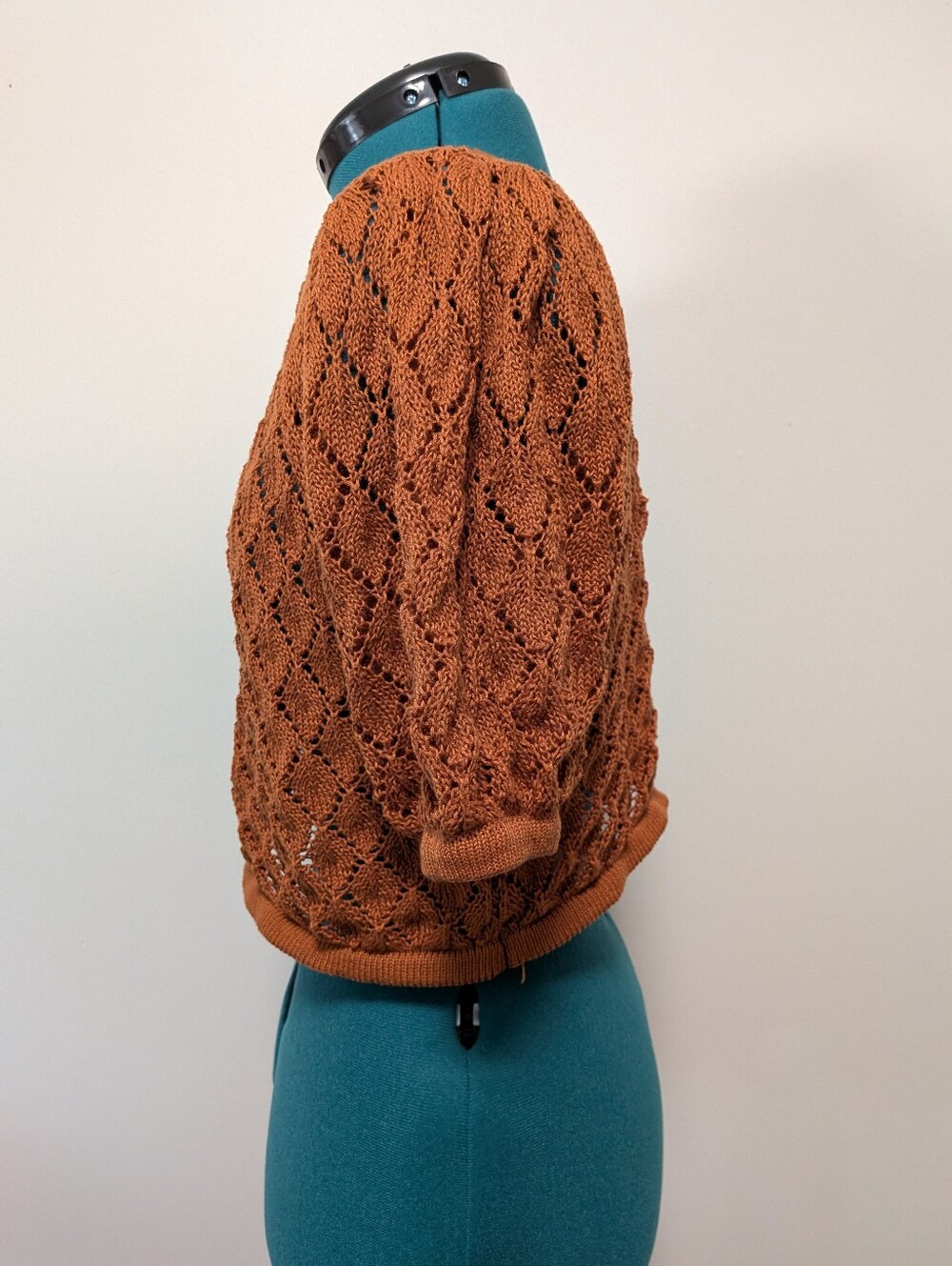 And Now This Rust Orange Open-Knit Short Sleeve Crop Sweater - Picture 4 of 6